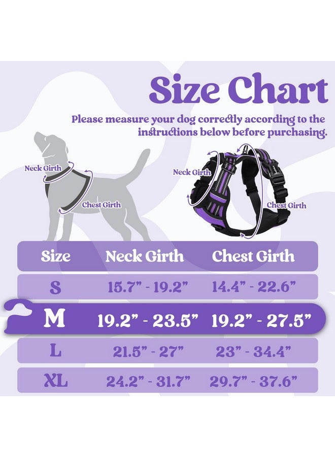 rabbitgoo Dog Harness Medium Sized, No Pull Pet Harness with 3 Buckles, Adjustable Soft Padded Pooch Vest with Instant Control Handle, Easy Walking Reflective Pet Vest for Medium Dogs, Purple, M - Image 2