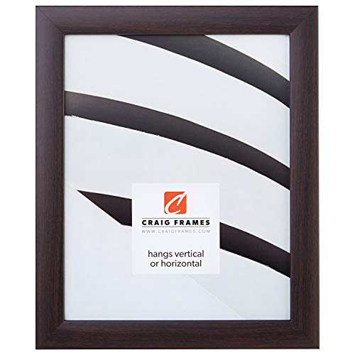 Craig Frames 23247778 14 by 20Inch Picture Frame Smooth Wrap Finish 1Inch Wide Brazilian Walnut Brown