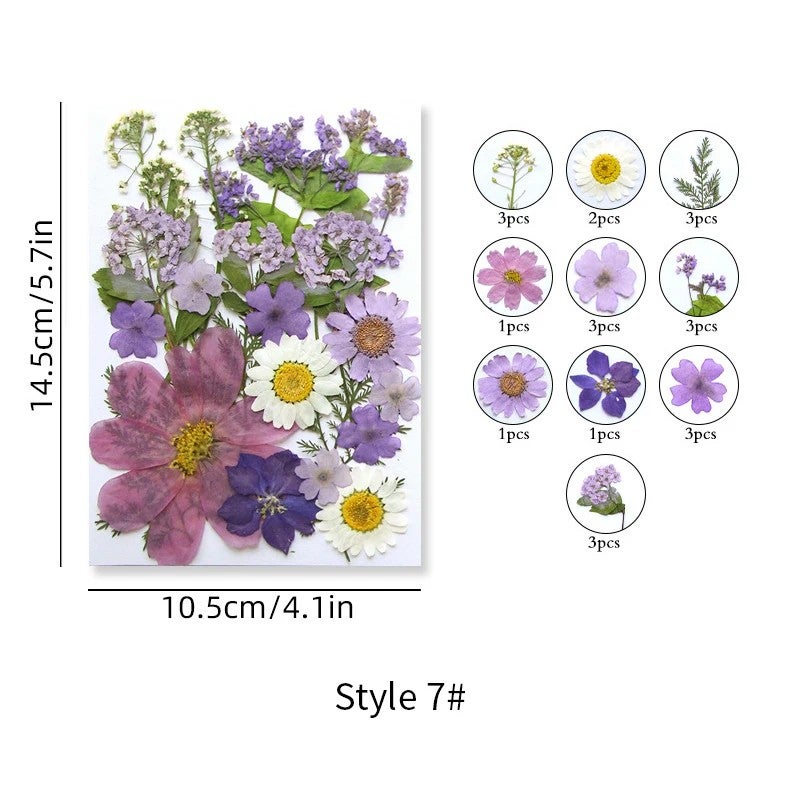 Bluejw INTODIY Dried Flowers Petal Earrings – Natural Red & Purple Dry Flower Fragrance for Nails Art, Table Decoration, and Craft with Real Dried Plants - Image 1