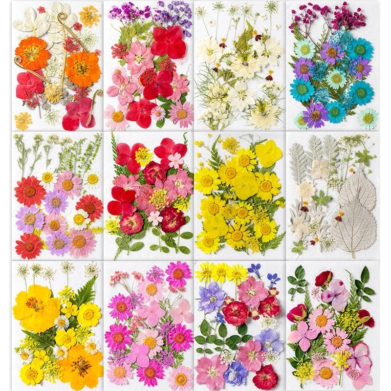 Bluejw INTODIY Dried Flowers Petal Earrings – Natural Red & Purple Dry Flower Fragrance for Nails Art, Table Decoration, and Craft with Real Dried Plants - Image 4