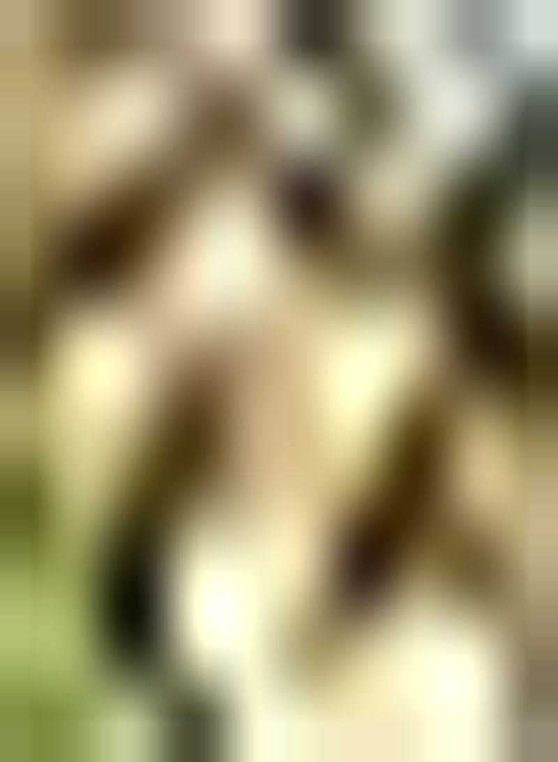 GGOOT 50Stück Pitaya Samen Drachenfrucht Indoor Outdoor Pflanzung geeignet für Anfänger um zu Hause zu arbeiten muss Obst haben um Gäste zu unterhalten jeder der pflanzen möchte - Image 1