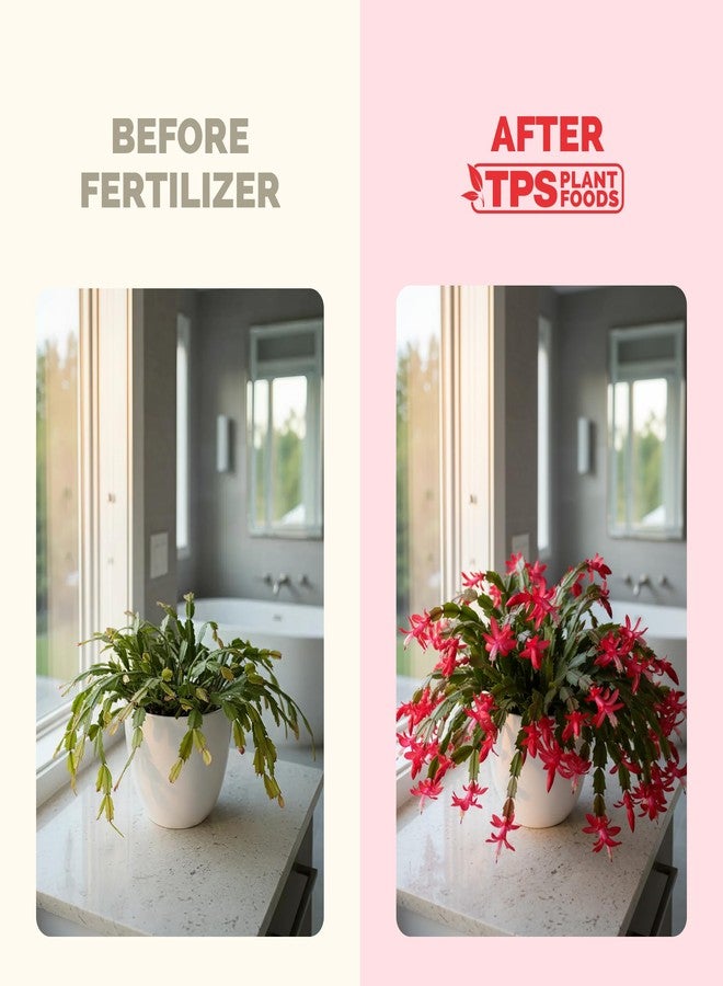 TPS NUTRIENTS سماد TPS NUTRIENTS لأشجار الصبار في عيد الميلاد، مناسب لجميع أنواع صبار عيد الميلاد وصبار شلومبرجيرا، سماد سائل للنباتات 8 أونصة (250 مل) - Image 3