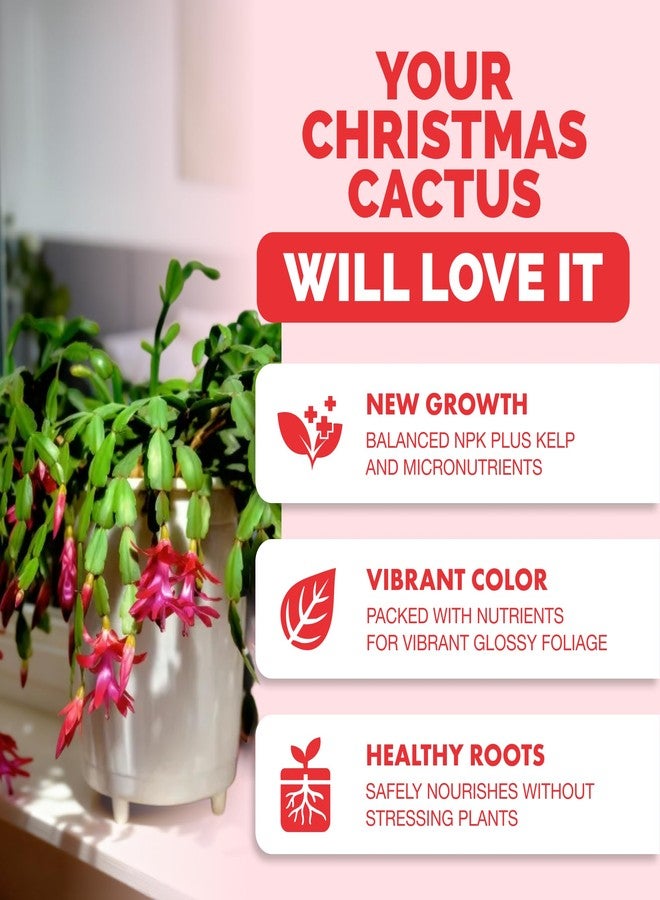 TPS NUTRIENTS سماد TPS NUTRIENTS لأشجار الصبار في عيد الميلاد، مناسب لجميع أنواع صبار عيد الميلاد وصبار شلومبرجيرا، سماد سائل للنباتات 8 أونصة (250 مل) - Image 2