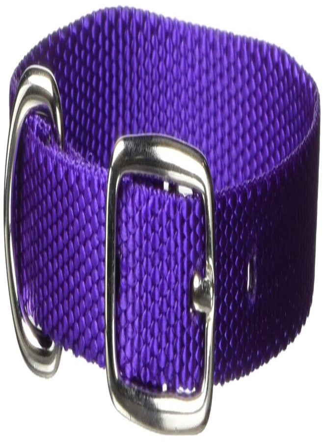 Hamilton Single Thick Nylon Deluxe Dog Collar, 3/8 by 12-Inch, Purple - Image 2