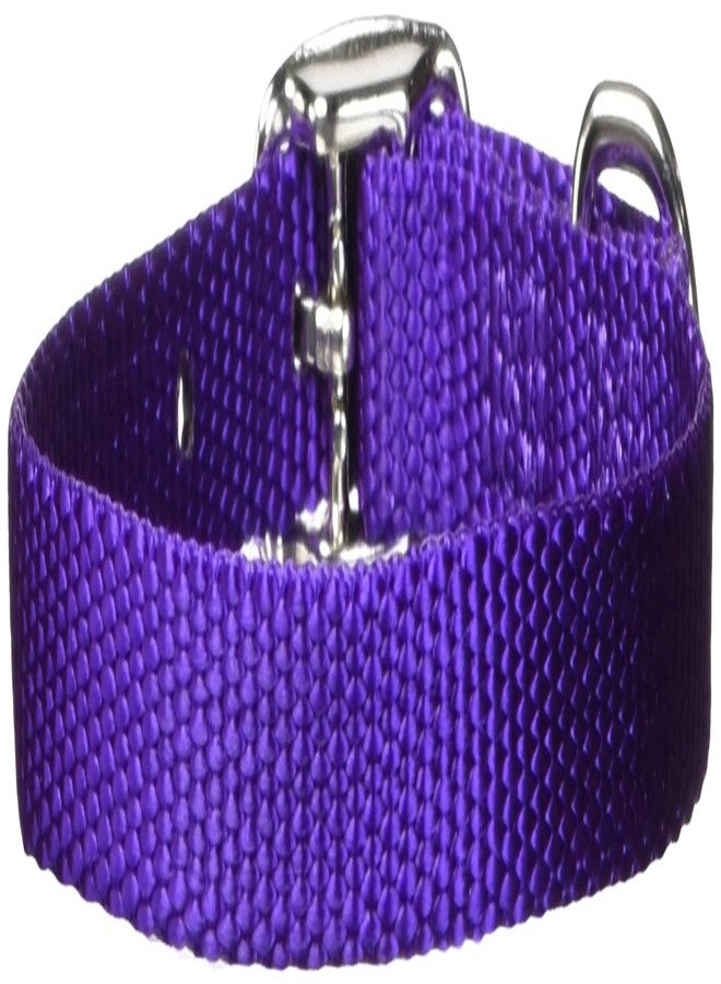 Hamilton Single Thick Nylon Deluxe Dog Collar, 3/8 by 12-Inch, Purple - Image 1