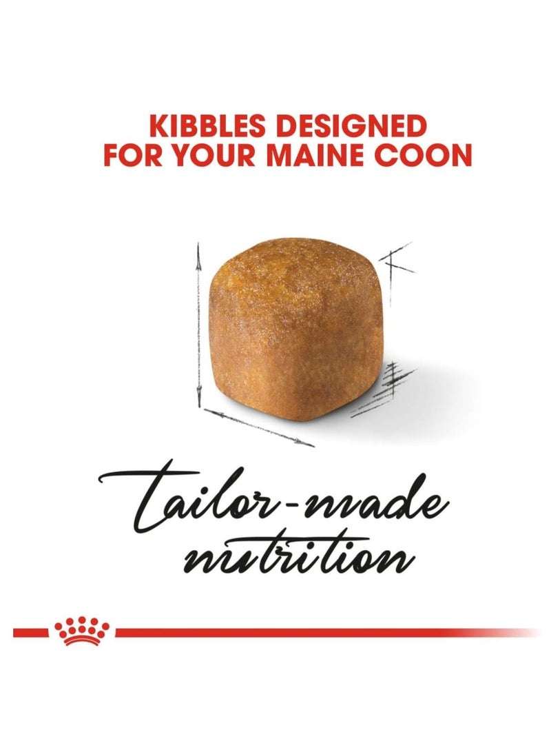 ROYAL CANIN Feline Breed Nutrition Maine Coon Kitten 2kg - Image 4