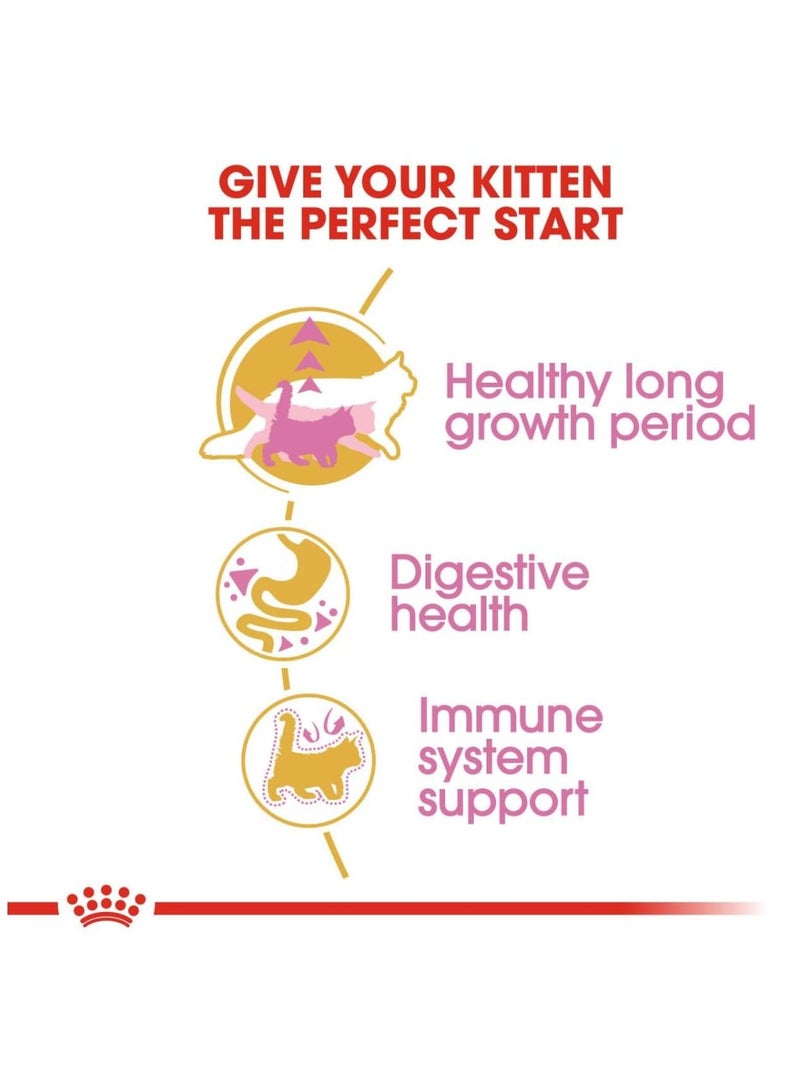 ROYAL CANIN Feline Breed Nutrition Maine Coon Kitten 2kg - Image 3