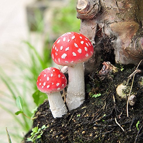 Top Collection Miniature Fairy Garden and Terrarium Mushroom Picks, Red (Set of 2) - Image 5