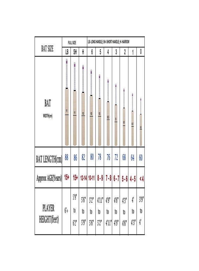 Klapp Lexus Kashmir Willow Cricket Bat 5 (Green) - Image 5