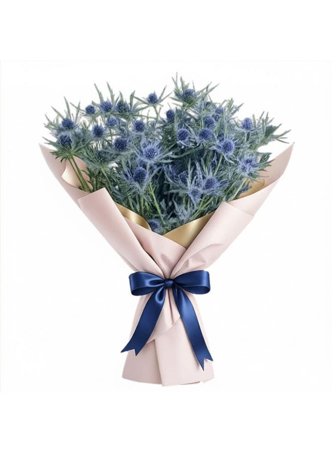 Eryngium , 50cm - 10 Stems, Kenya
