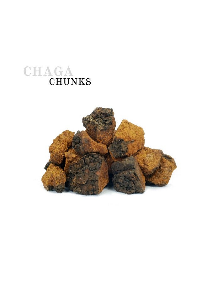 ChagaTeaShop Siberian Chaga Mushroom Whole Chunks Wild Harvested 12 Oz. (340g.) - Image 3
