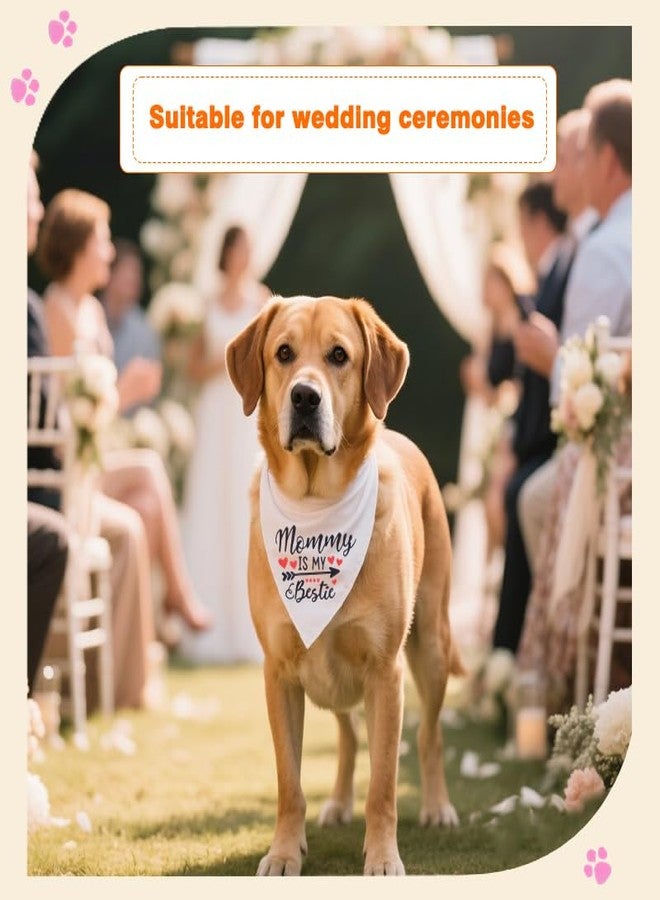 YangQian Dog Triangle Bandana Scarf Pet Costumes for Dogs Mama Mom Gifts for Women Christmas Engagement Wedding Birthday Gift for Dog Lover Woman Bandana Dogs Owner Gift Ideas Pet Apparel Accessories Outifts - Image 3