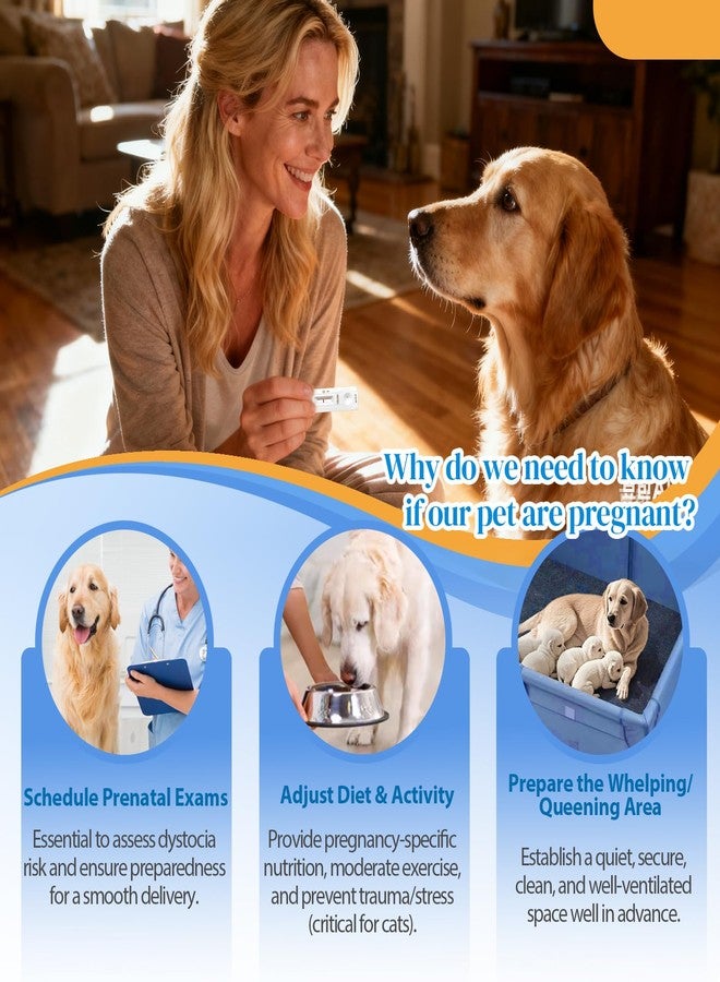 At-Home Dog & Cat Pregnancy Test Kit - Urine Detection for Early Pregnancy Confirmation, Fast 5-10-Min Results, 98.8% Accurate, Non-Invasive & Stress-Free - Image 3
