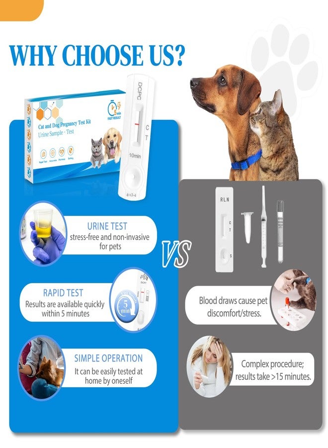 At-Home Dog & Cat Pregnancy Test Kit - Urine Detection for Early Pregnancy Confirmation, Fast 5-10-Min Results, 98.8% Accurate, Non-Invasive & Stress-Free - Image 4