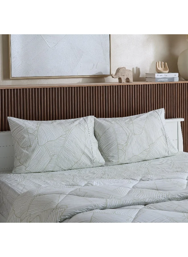 Home Box Malta Musa 3-Piece Printed Cotton King Comforter Set - 220x240 cm