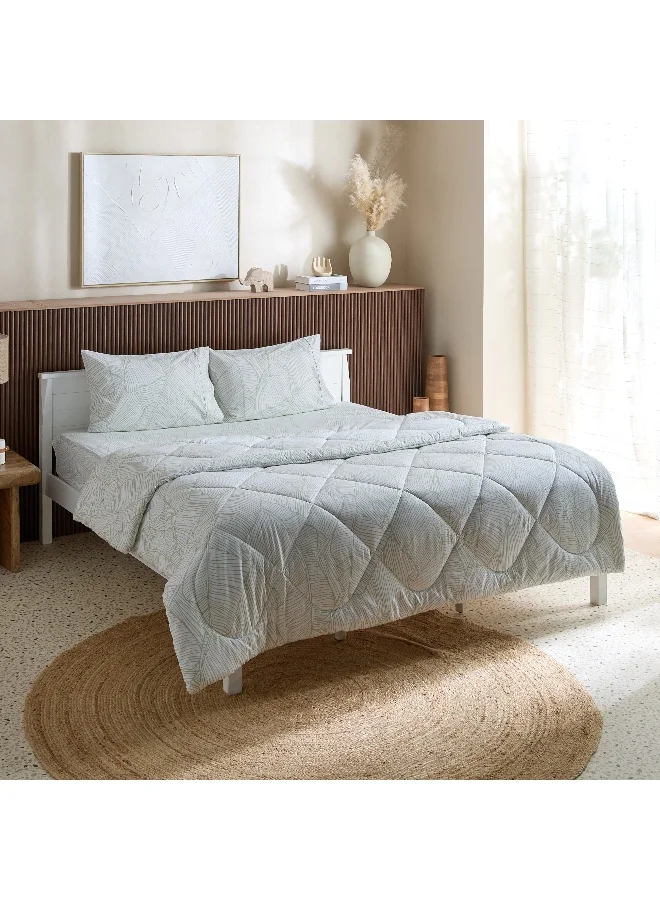 Home Box Malta Musa 3-Piece Printed Cotton King Comforter Set - 220x240 cm