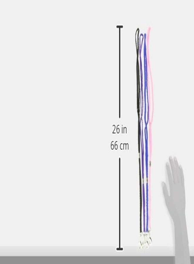 Top Performance Deluxe Grooming Loops - Versatile Nylon Loops to Secure Dogs on Tabletops While Grooming - 24", 4-Pack Black, Blue, Purple and Pink - Image 4