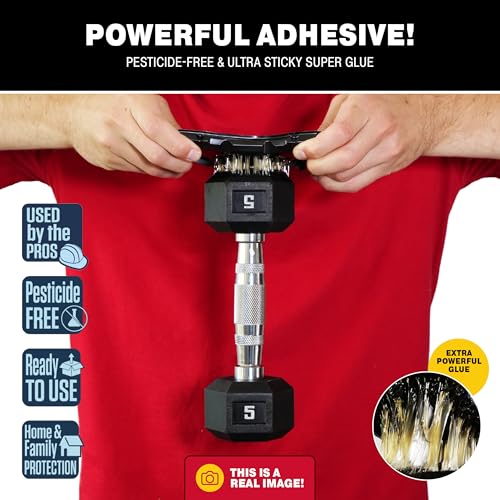 Catchmaster Mouse & Insect Glue Traps 6-Pk, Adhesive Rodent & Bug Catcher, Mouse Traps Indoor for Home, Sticky Glue Boards for Mice and Insects, Pest Control for House & Garage - Image 2