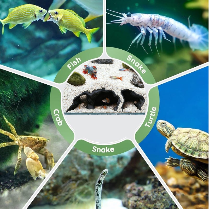 LIYAOLI Aquarium Ornaments Cave Tunnel with Viewing Ports | Fish Tank Decoration Hideout for Pleco, Shrimp & Corydoras | Substrate-Friendly Design & Sinking Base - Image 2