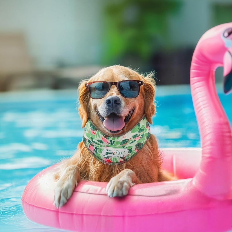أوول فور بوز مجموعة "ALL FOR PAWS" المكونة من وشاحين تبريد للكلاب، طوق تبريد ولفافة رقبة للكلاب، أوشحة تبريد جليدية للكلاب الصغيرة، طوق تبريد "بلو تشيل أوت" (مقاس S، محيط الرقبة 11.8-14.4 بوصة) - Image 5