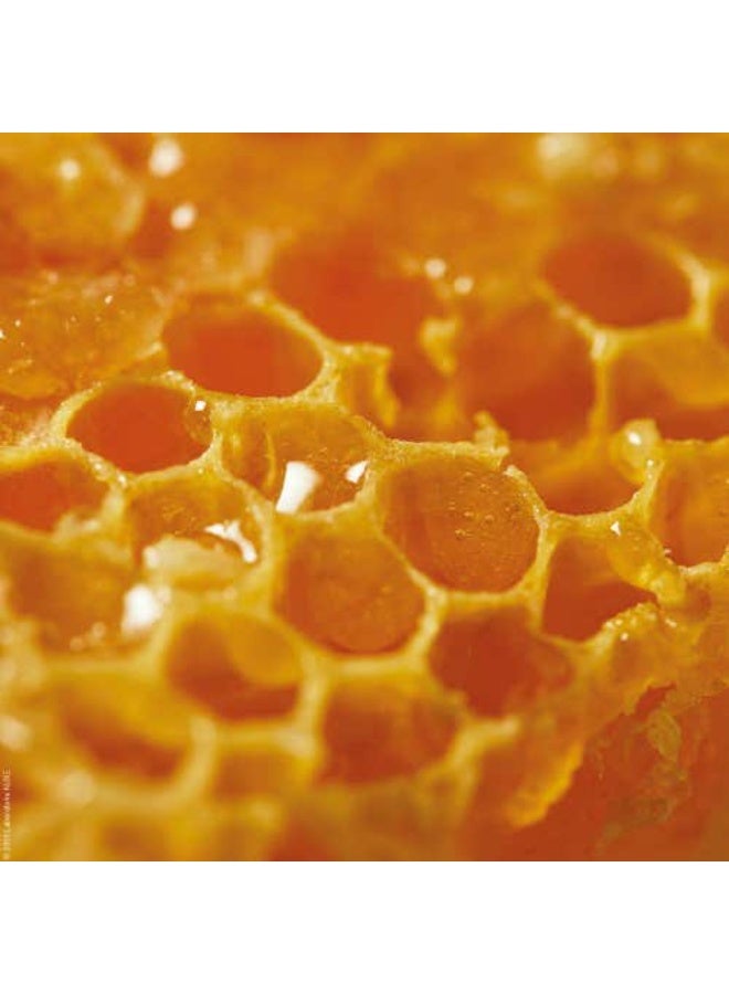 نوكس ريف دي ميل مرطب للشفاه بالعسل 4 جم - Image 2