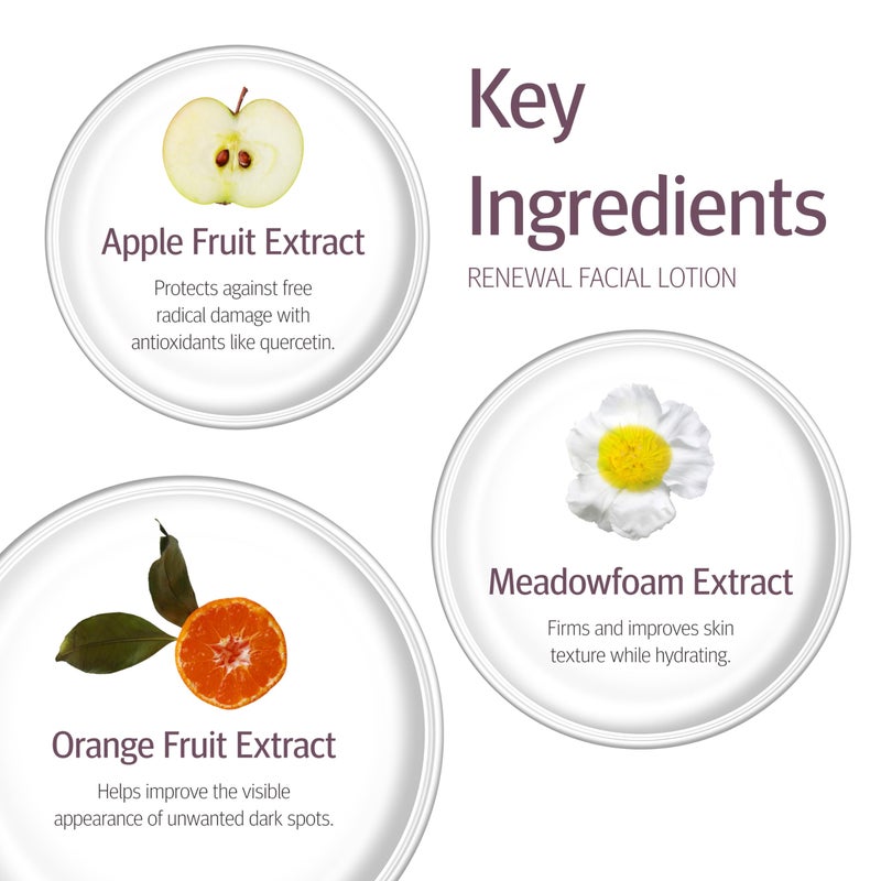 Epionce Renewal Facial Lotion - Hydrating, Anti-Aging Moisturizer for Normal to Combination Skin, For Fine Lines & Wrinkles, Dermatologist Skincare - Image 5