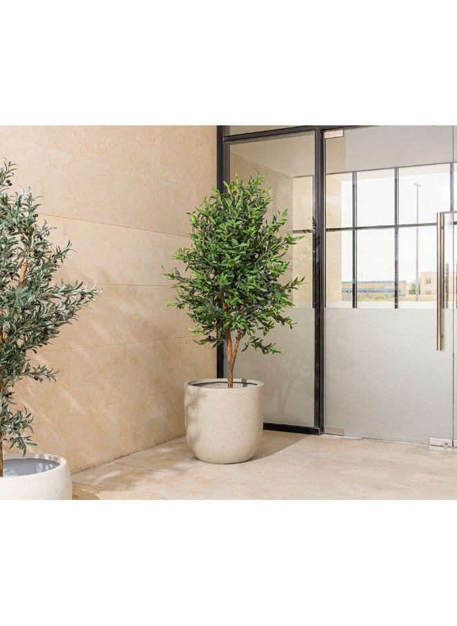2XL Home Olive Tree 85X85X200Cm Green/Brown  - Image 3
