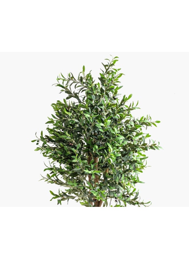 2XL Home Olive Tree 85X85X200Cm Green/Brown  - Image 1