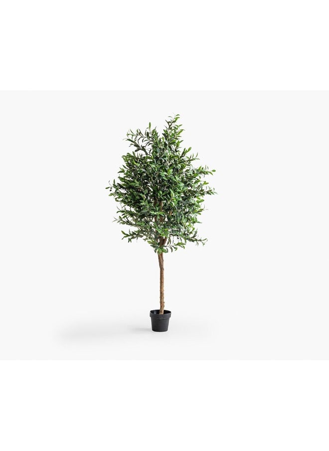 2XL Home Olive Tree 85X85X200Cm Green/Brown  - Image 2