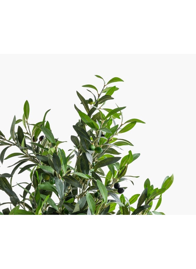 2XL Home Olive Tree 85X85X200Cm Green/Brown  - Image 4