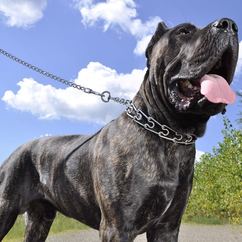 Coastal Pet Titan Dog Prong Training Collar Chrome Plated Fine 2.0mm x 14-inches Girth (1-Unit) - Image 3