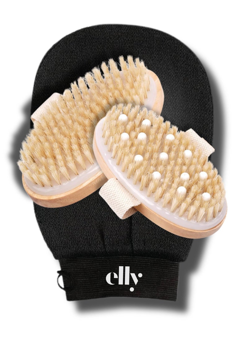 ELLY - Premium Set Exfoliation Dry & Wet | Exfoliator Glove + Dry Body Bath Brush Natural Bristles | Cellulite Reduction | Lymphatic Drainage - Image 1