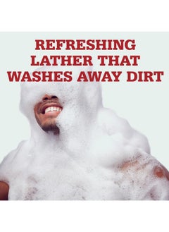 Old Spice Old Spice Fresher Body Wash for Men, Fiji with Palm Tree Scent, 30 fl oz (Pack of 4)  - Image 4