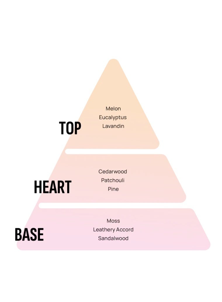 Areon Car & Home Perfume Black Crystal 35ml | Long Lasting Car Air Freshener & Elegant Home Fragrance - Image 5