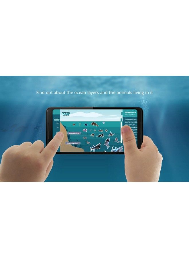 Octagon Studio Ocean 4D+ Augmented Reality Cards: Explore The Ocean And Its Creatures With 35 Cards Free App Maps Fact File And Detailed 3D Models - Image 5