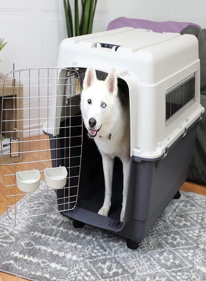 Pet Believe قفص قتال بلاستيكي بعجلات من Pet Believe Lata Approved (أسود، 20 بوصة) - Image 1