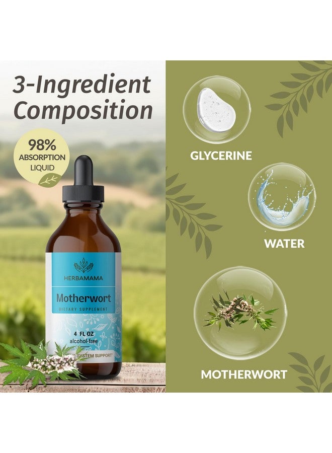HERBAMAMA Motherwort Tincture - Vegan Motherwort Herb Extract Calming Drops for Women's Support - Non-GMO, Alcohol & Sugar-Free Liquid Relaxation Supplement, 56-Day Supply - Image 4