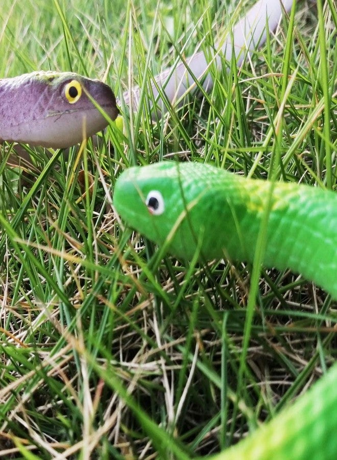 Lechay Rubber Snakes to Keep Birds Away,4 Pieces 29 Inch Realistic Rubber Snakes, Pranks, Halloween Decoration, Fake Snake for Garden Props to Scare Birds, Squirrels, Mice - Image 3