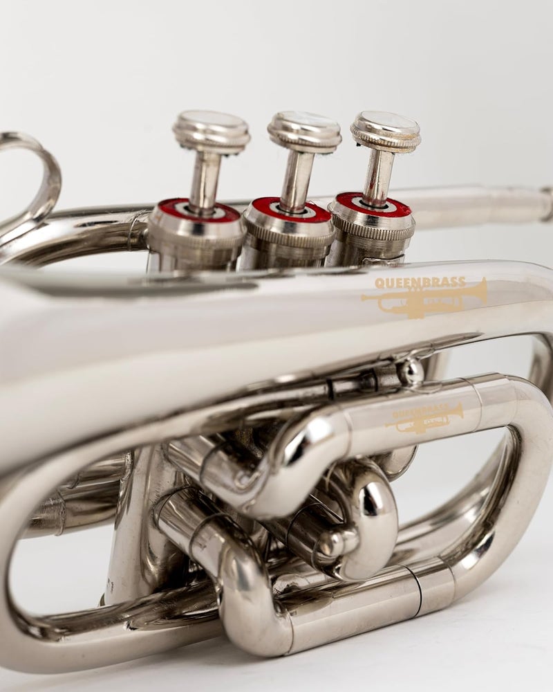 QUEENBRASS Pocket Trumpet in Bb Pitch – Chrome Finish Brass Instrument with Mouthpiece & Case | Compact Design for Students, Beginners & Professionals - Image 2