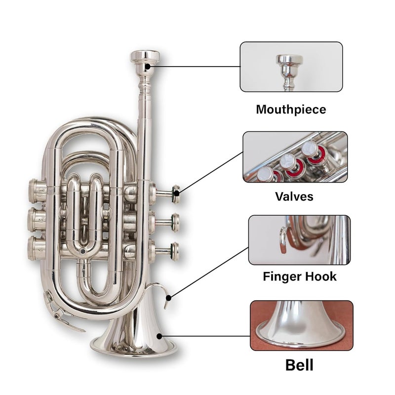 QUEENBRASS Pocket Trumpet in Bb Pitch – Chrome Finish Brass Instrument with Mouthpiece & Case | Compact Design for Students, Beginners & Professionals - Image 5