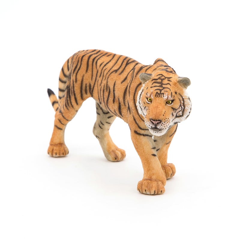 Papo - Tiger - Realistic Figurine - for Ages 3+ - Wild Animal Kingdom Collection - Hand Painted - Highly Detailed - Durable and Educational - Gift Idea - Collectable - Tiger Figurine - Wild cat Model - Image 3