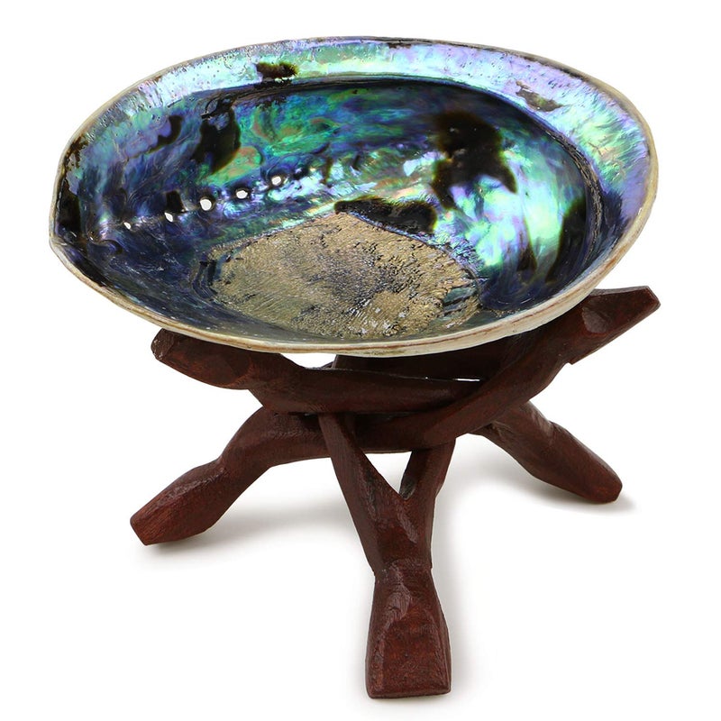 Ocean Shell Studios. Ocean Shell Studios 5-6 inches Premium Natural Abalone (PÄua) Shell with Wooden Stand for Smudging, Cleansing Home, Meditation, Shell Crafts,Incense Holder, Home DÃ©cor, 100% Natural, Sustainable. - Image 1