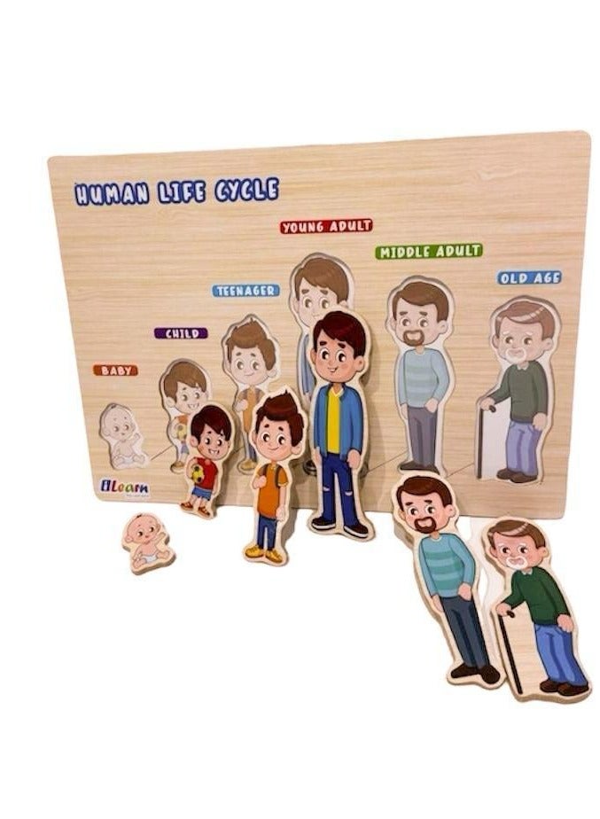 iLearn Human Life Cycle - Image 2