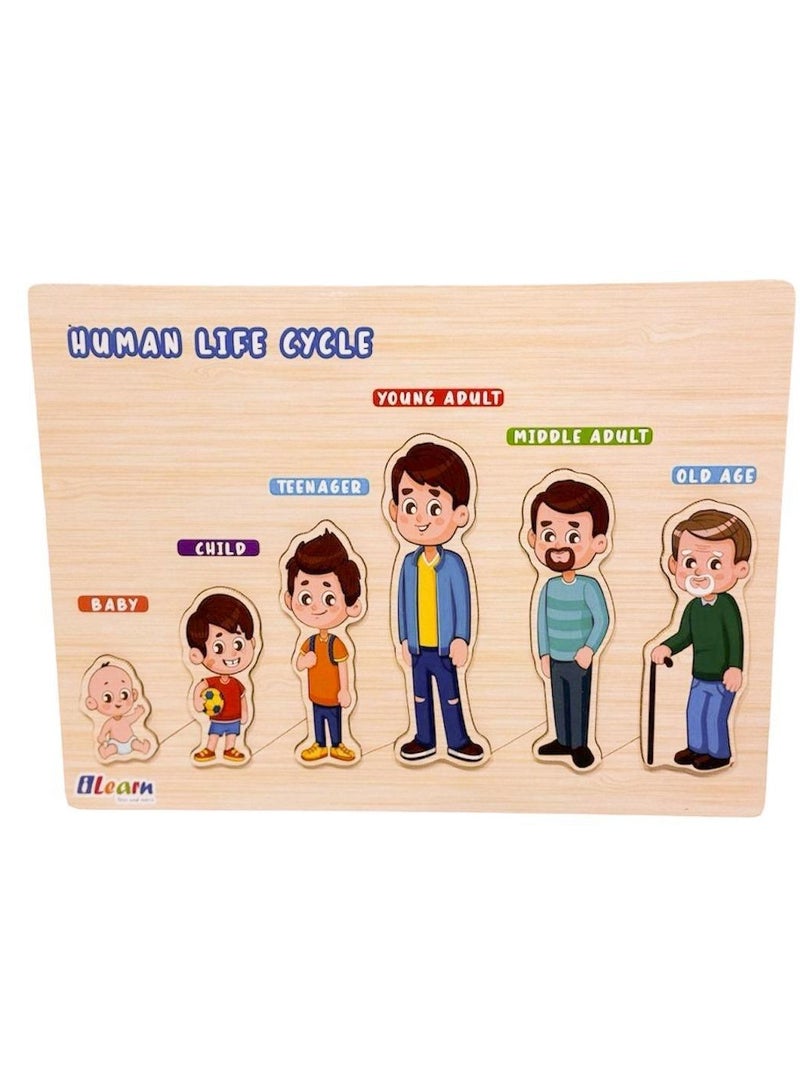 iLearn Human Life Cycle - Image 1