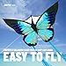 SGftre Green Butterfly Kite Premium Quality Easy to Fly Perfect Outdoor Toy for Kids and AdultsBeach and Park Kite for Family Outdoor Games ActivitiesSilverwing Butterfly - Image 4