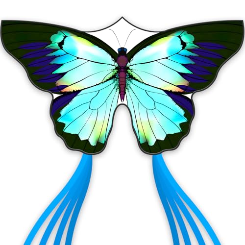 SGftre Green Butterfly Kite Premium Quality Easy to Fly Perfect Outdoor Toy for Kids and AdultsBeach and Park Kite for Family Outdoor Games ActivitiesSilverwing Butterfly - Image 1
