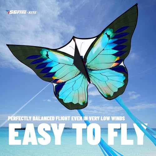 SGftre Green Butterfly Kite Premium Quality Easy to Fly Perfect Outdoor Toy for Kids and AdultsBeach and Park Kite for Family Outdoor Games ActivitiesSilverwing Butterfly - Image 5