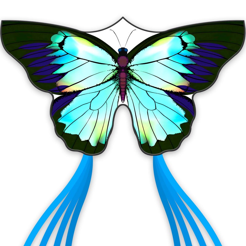 SGftre Green Butterfly Kite Premium Quality Easy to Fly Perfect Outdoor Toy for Kids and AdultsBeach and Park Kite for Family Outdoor Games ActivitiesSilverwing Butterfly - Image 3