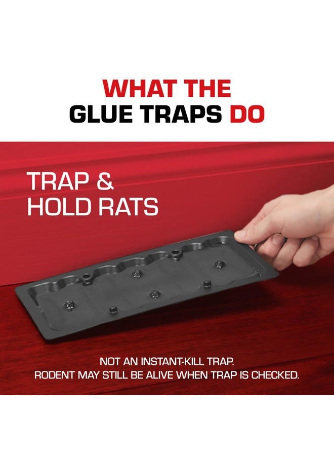 TOMCAT Rat Trap with Immediate Grip Glue for Rats, Mice, Snakes, Cockroaches, Spiders, and Scorpions, Ready-To-Use, 2 Traps - Image 5