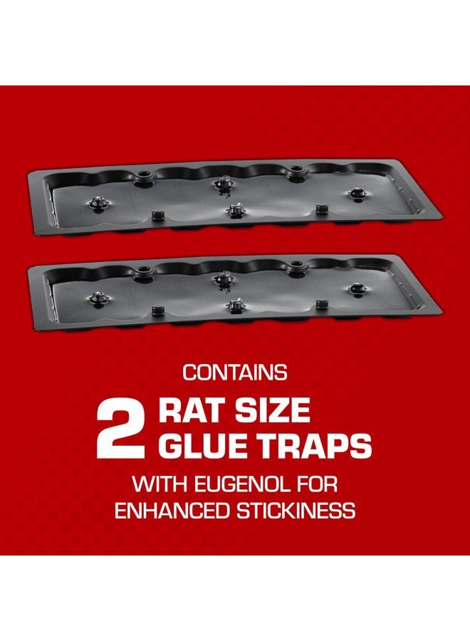 TOMCAT Rat Trap with Immediate Grip Glue for Rats, Mice, Snakes, Cockroaches, Spiders, and Scorpions, Ready-To-Use, 2 Traps - Image 2